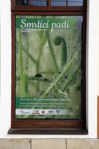 Smrtící pasti (1)
