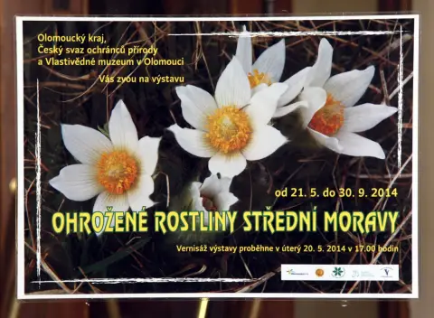 Ohrožené rostliny střední Moravy (2)