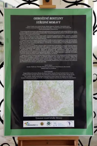 Ohrožené rostliny střední Moravy (3)
