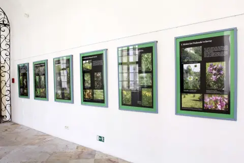 Ohrožené rostliny střední Moravy (6)