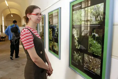 Ohrožené rostliny střední Moravy (67)