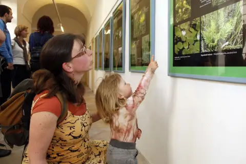 Ohrožené rostliny střední Moravy (69)