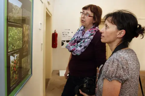 Ohrožené rostliny střední Moravy (73)