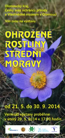 Ohrožené rostliny střední Moravy (1)
