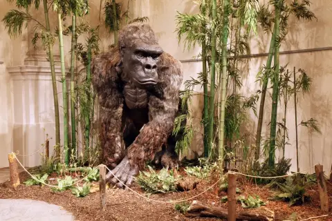 Giganti doby ledové (10)
