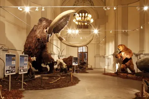 Giganti doby ledové (13)