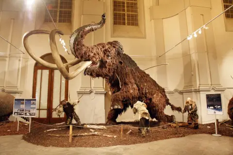 Giganti doby ledové (14)