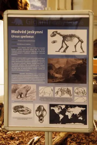 Giganti doby ledové (29)