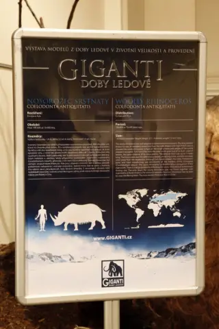 Giganti doby ledové (30)