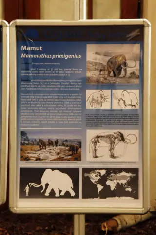 Giganti doby ledové (32)