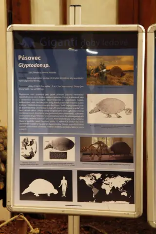 Giganti doby ledové (33)