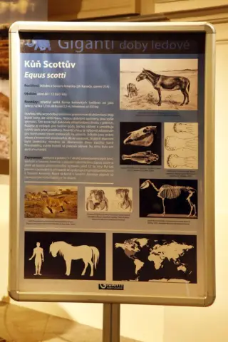 Giganti doby ledové (34)