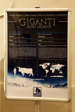 Giganti doby ledové (36)