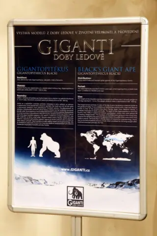 Giganti doby ledové (38)