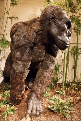 Giganti doby ledové (39)