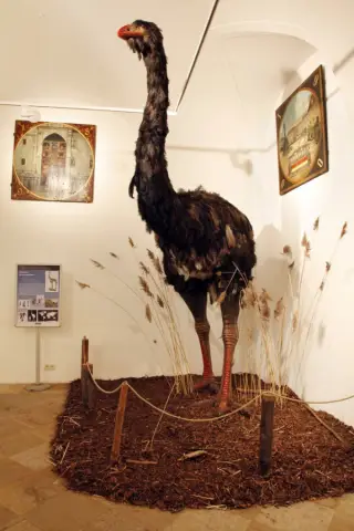 Giganti doby ledové (40)