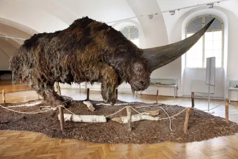 Giganti doby ledové (42)
