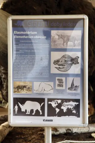 Giganti doby ledové (45)