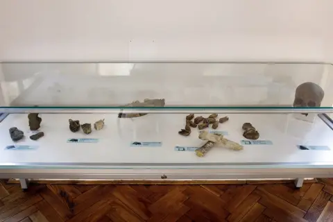 Giganti doby ledové (46)
