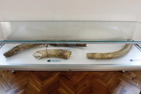 Giganti doby ledové (47)