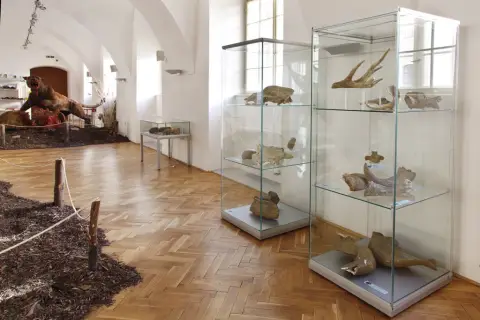 Giganti doby ledové (49)
