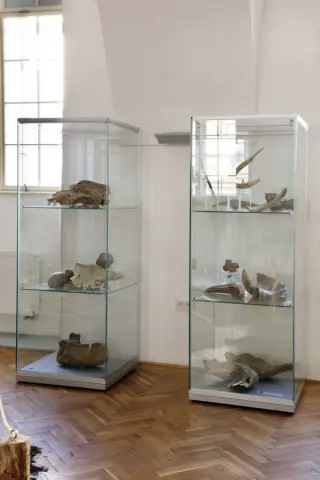 Giganti doby ledové (50)