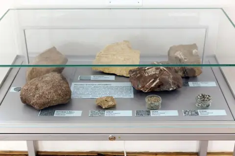 Giganti doby ledové (51)