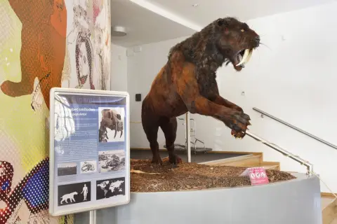 Giganti doby ledové (54)