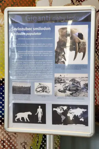 Giganti doby ledové (55)