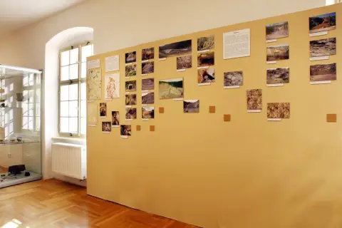 Nerostné bohatství Olomoucka (15)