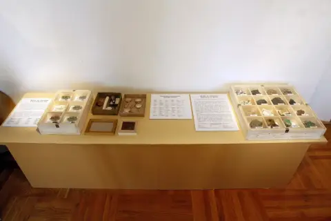 Nerostné bohatství Olomoucka (18)