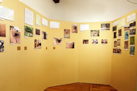 Nerostné bohatství Olomoucka (8)