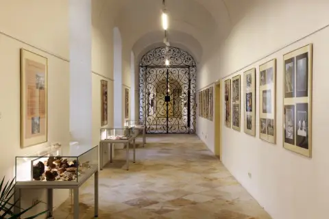 VSMO v Olomouci dnes (9)