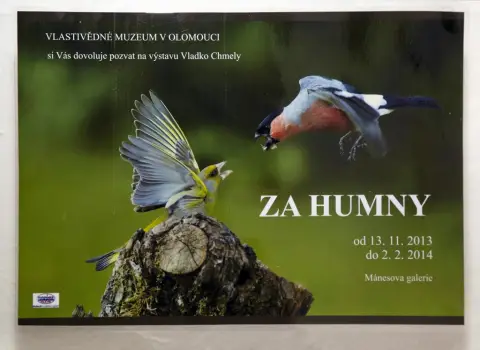 Za humny (1)