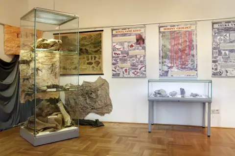 Zkameněliny - archiv života (10) Zkameněliny - archiv života (10)