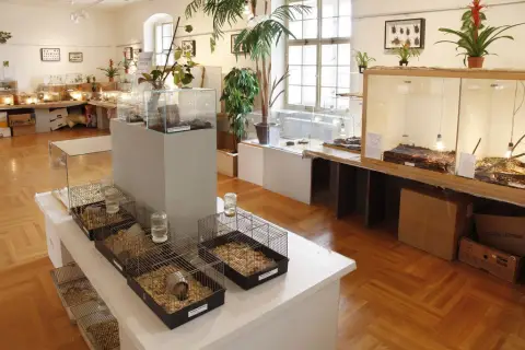 Výstava terarijních zvířat (5)