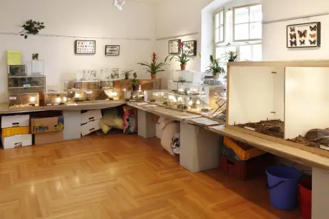 Výstava terarijních zvířat (7)
