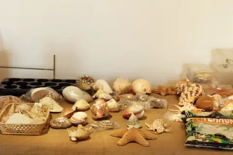 Výstava terarijních zvířat (8)