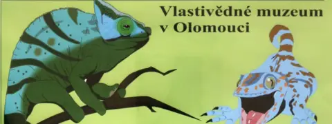 Výstava terarijních zvířat (1)