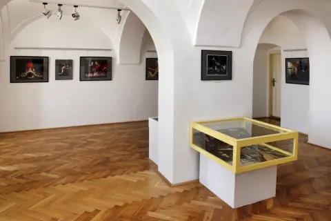 Svět divadla a hudby ve fotografiích (9)