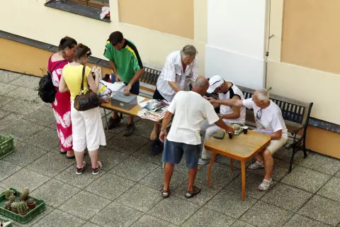 Výstava kaktusů a sukulentů (2)