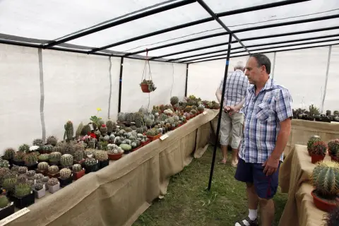 Výstava kaktusů a sukulentů (21)