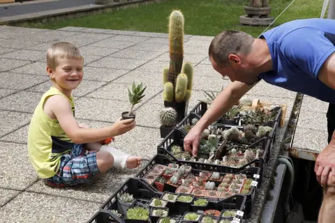Výstava kaktusů a sukulentů (22)
