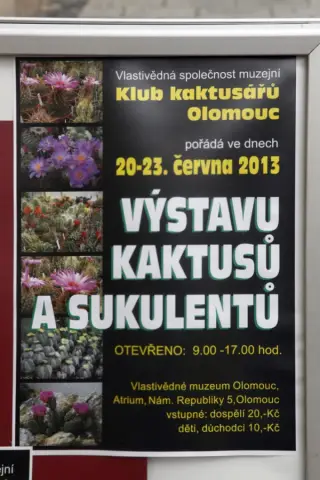 Výstava kaktusů a sukulentů (27)