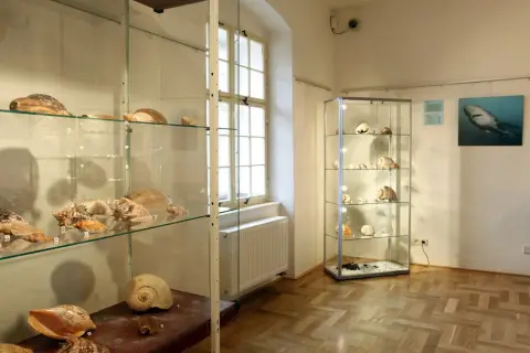 Krása moří a oceánů (3)