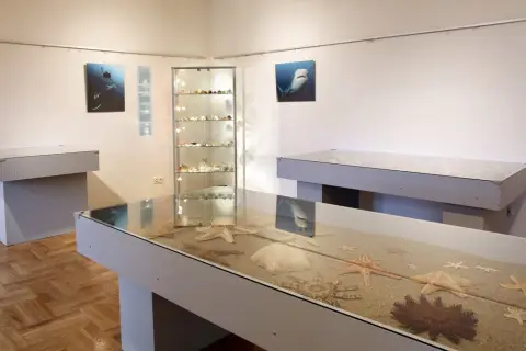 Krása moří a oceánů (4)