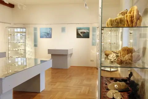 Krása moří a oceánů (5)
