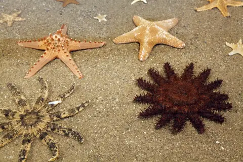 Krása moří a oceánů (6)