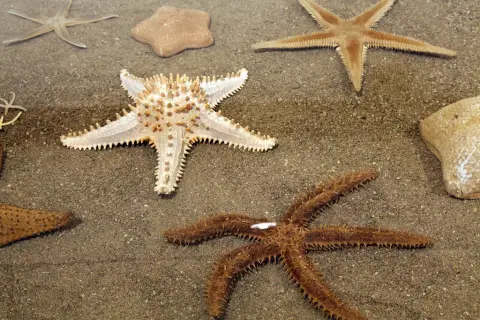 Krása moří a oceánů (7)