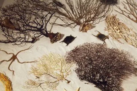 Krása moří a oceánů (8)